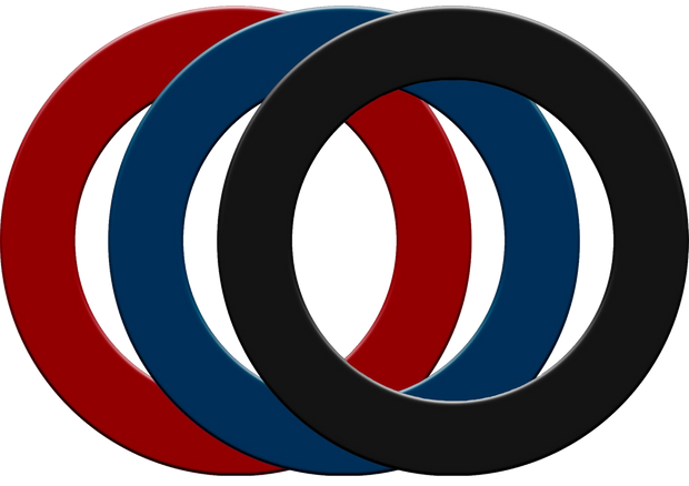 Bulls Plain PU Dartboard Surround